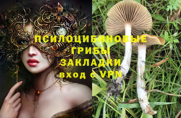 кокс Алексеевка