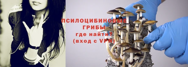 кокс Алексеевка