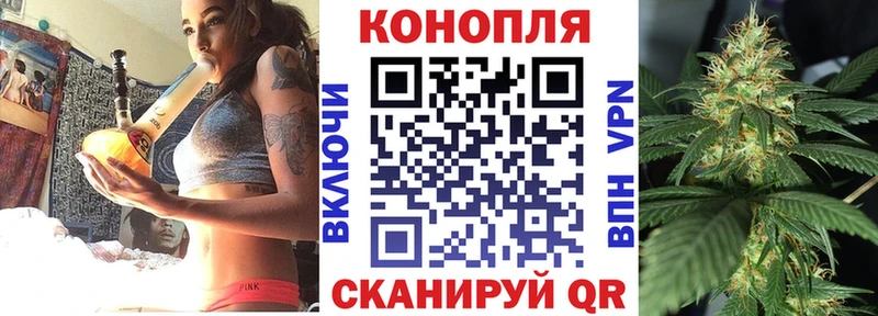 Марихуана конопля  Западная Двина 